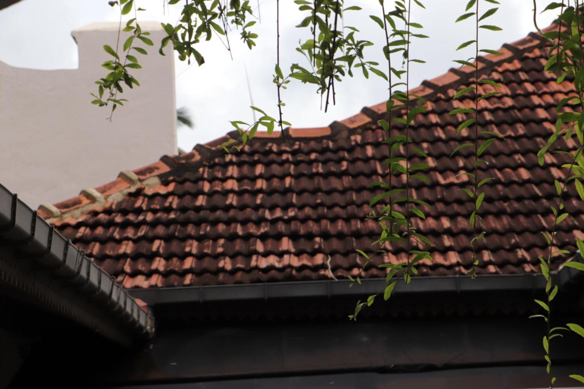 Suite Lanka Hikkaduwa Zewnętrze zdjęcie